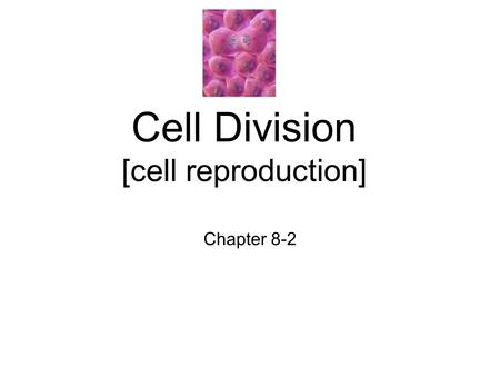 Cell Division [cell reproduction] Chapter 8-2. Prokaryotes Lack organelles Simple celled organisms Bacteria DNA- is circular, free floating.