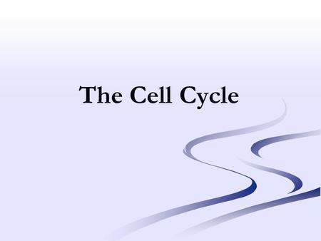 The Cell Cycle. CELL SIZE IS LIMITED ● Too great an increase in size could result in surface area too small for exchange of gases, nutrients and wastes.