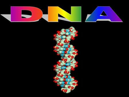 Defined: Molecule that stores genetic information Monomer: Nucleotide Millions of nucleotides bond to make nucleic acids Gene: section of DNA that holds.