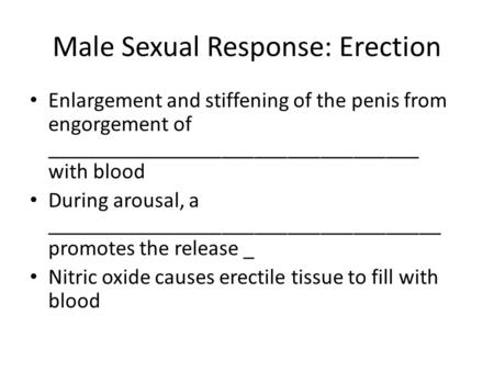 Male Sexual Response: Erection Enlargement and stiffening of the penis from engorgement of __________________________________ with blood During arousal,