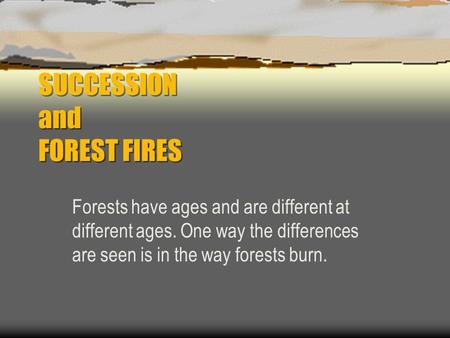 SUCCESSION and FOREST FIRES Forests have ages and are different at different ages. One way the differences are seen is in the way forests burn.