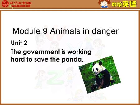 Module 9 Animals in danger Unit 2 The government is working hard to save the panda.