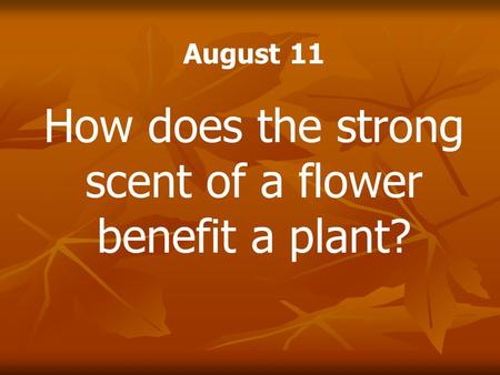 August 11 How does the strong scent of a flower benefit a plant?