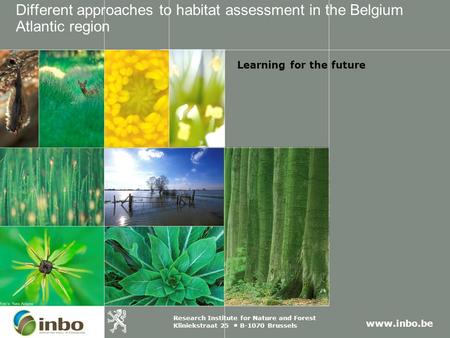 Www.inbo.be Research Institute for Nature and Forest Kliniekstraat 25 B-1070 Brussels Different approaches to habitat assessment in the Belgium Atlantic.