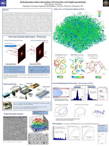 Department of Aerospace Engineering and Mechanics, Hydrodynamic surface interactions of Escherichia coli at high concentration Harsh Agarwal, Jian Sheng.