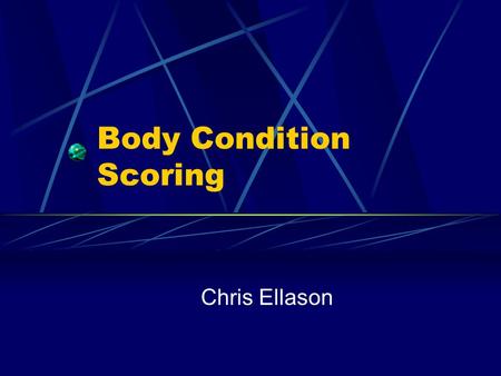 Body Condition Scoring Chris Ellason. Introduction What is Body Condition Scoring (BCS)? Nutritional Priorities of Cattle Body Condition Scoring System.