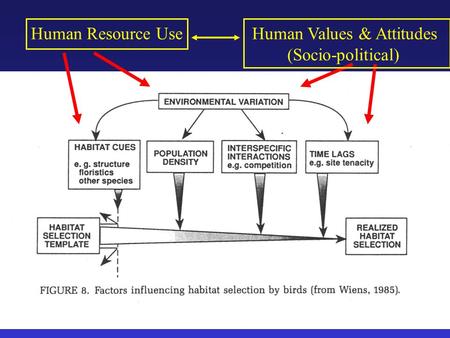 Human Resource UseHuman Values & Attitudes (Socio-political)