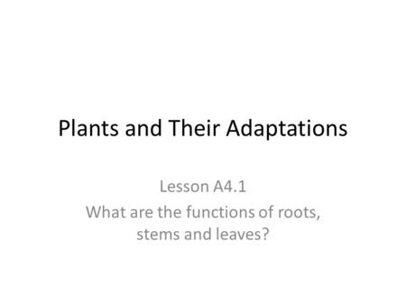 Plants and Their Adaptations Lesson A4.1 What are the functions of roots, stems and leaves?