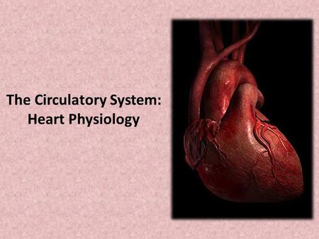 The Circulatory System: Heart Physiology