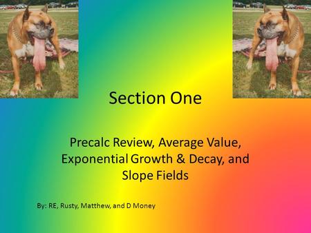 Section One Precalc Review, Average Value, Exponential Growth & Decay, and Slope Fields By: RE, Rusty, Matthew, and D Money.