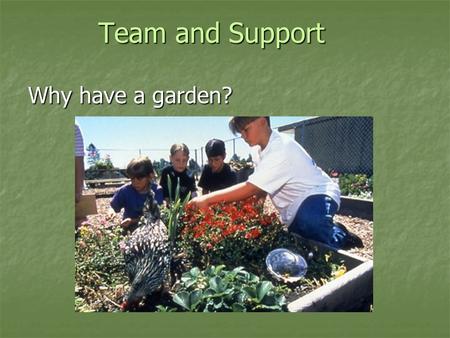 Team and Support Why have a garden? Team and Support Why have a garden?
