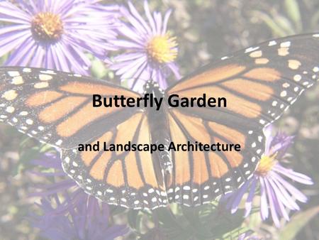 Butterfly Garden and Landscape Architecture. Projects like these are important The monarch butterfly is a perfect example of why. In the last few years,