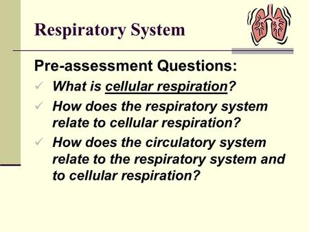 Respiratory System Pre-assessment Questions: