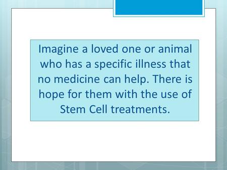 Imagine a loved one or animal who has a specific illness that no medicine can help. There is hope for them with the use of Stem Cell treatments.