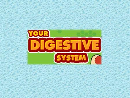 The Digestive System is the system which makes nutrients and energy available to the body. There are many different organs needed to change the food we.