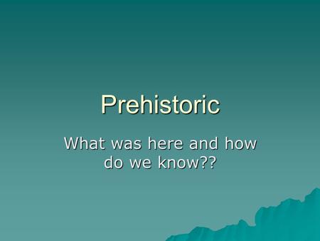 Prehistoric What was here and how do we know??. Prehistoric Times  “prehistoric” refers to the time period before written word.  There was time when.