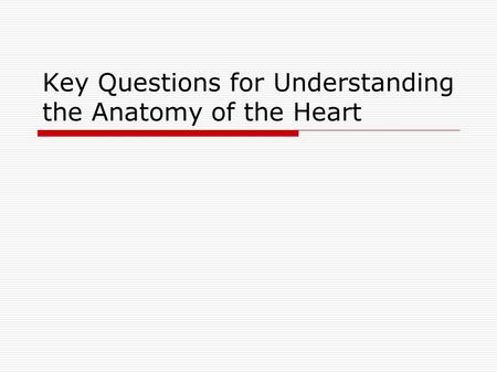 Key Questions for Understanding the Anatomy of the Heart.