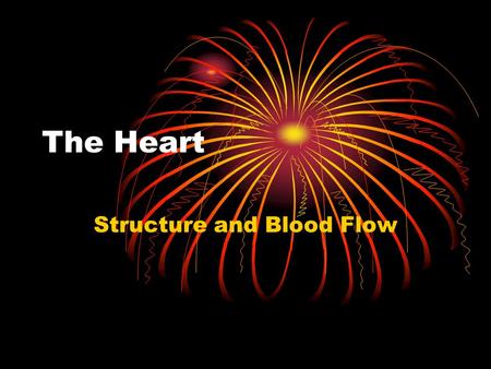 Structure and Blood Flow