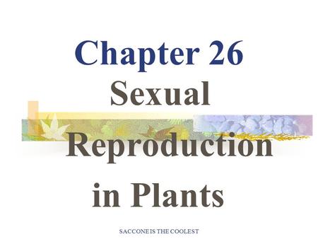 SACCONE IS THE COOLEST Chapter 26 Sexual Reproduction in Plants.