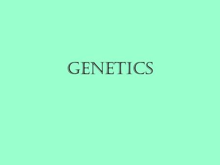 Genetics. –the study of heredity heredity? –passing of traits from parents to offspring Traits –Distinguishing characteristics that are inherited, ie.