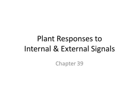Plant Responses to Internal & External Signals