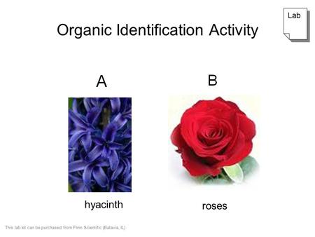 Organic Identification Activity hyacinth roses Lab This lab kit can be purchased from Flinn Scientific (Batavia, IL)