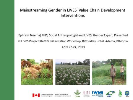 Mainstreaming Gender in LIVES Value Chain Development Interventions Ephrem Tesema( PhD) Social Anthropologist and LIVES Gender Expert, Presented at LIVES.