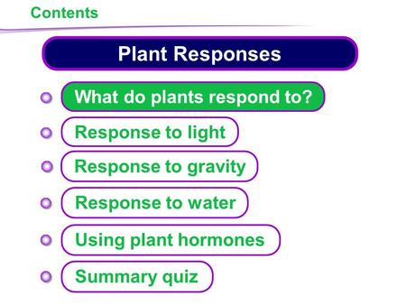 Plant Responses What do plants respond to? Response to light
