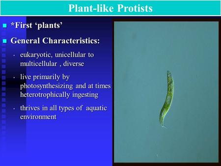 Plant-like Protists *First ‘plants’ General Characteristics: