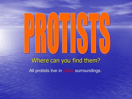 All protists live in moist surroundings.