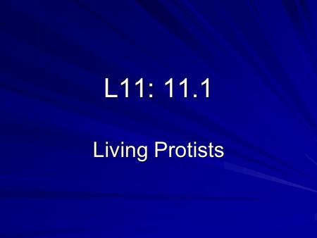 L11: 11.1 Living Protists. QUESTION: Which of the four protists (amoeba, paramecium, Volvox, & Euglena) have animal-like features, and which ones have.