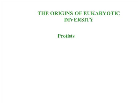 THE ORIGINS OF EUKARYOTIC DIVERSITY Protists. Protists are eukaryotes and thus are much more complex than the prokaryotes. The first eukaryotes were unicellular.