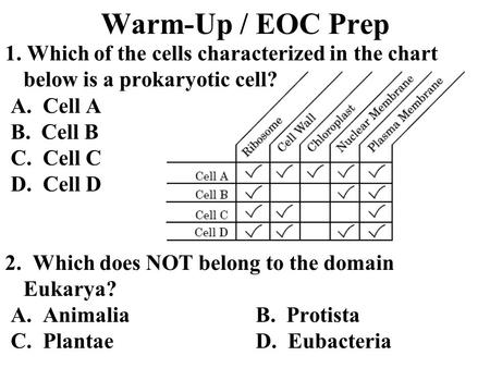Warm-Up / EOC Prep 1. Which of the cells characterized in the chart below is a prokaryotic cell?  A. Cell A  B. Cell B  C. Cell C  D. Cell D 2. Which.