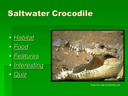 Saltwater Crocodile  Habitat Habitat  Food Food  Features Features  Interesting Interesting  Quiz Quiz Image from: www.exzooberance.com.