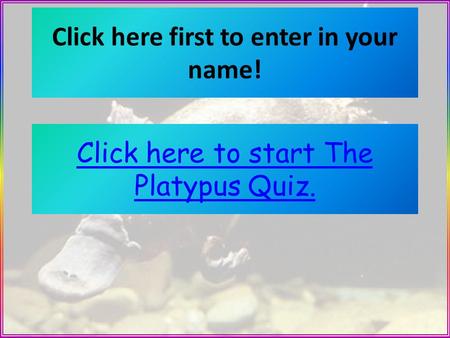 Click here to start The Platypus Quiz. Click here first to enter in your name!