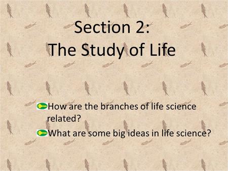 Section 2: The Study of Life How are the branches of life science related? What are some big ideas in life science?