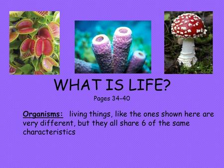 WHAT IS LIFE? Pages 34-40 Organisms: living things, like the ones shown here are very different, but they all share 6 of the same characteristics.