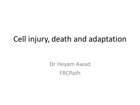 Cell injury, death and adaptation