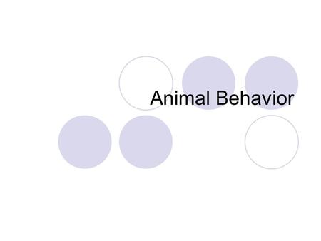 Animal Behavior.