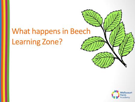 What happens in Beech Learning Zone?. Morning Rituals and Routines Transition between home and school Self-registration Children being independent – adults.