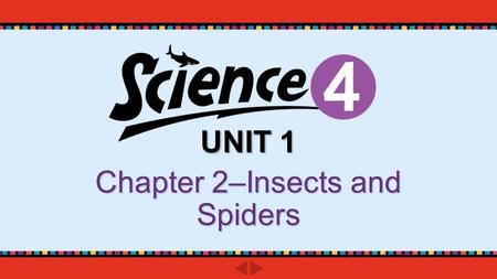UNIT 1 Chapter 2–Insects and Spiders. pp. 26-27 Do you know? What are two characteristics of an arthropod?What are two characteristics of an arthropod?