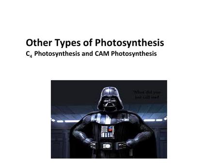 Other Types of Photosynthesis C 4 Photosynthesis and CAM Photosynthesis.