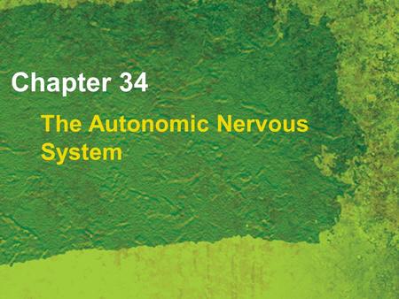 Chapter 34 The Autonomic Nervous System. Copyright 2007 Thomson Delmar Learning, a division of Thomson Learning Inc. All rights reserved. 34 - 2 Autonomic.