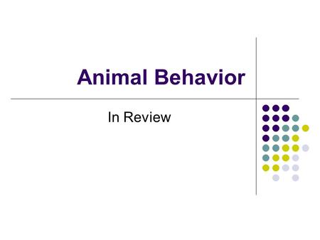 Animal Behavior In Review. Nature versus Nurture Behavior – action that can be observed and described. Genetic influence Lovebirds, snakes, snails and.