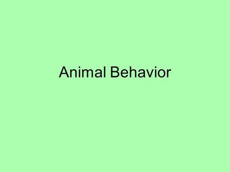 Animal Behavior. What’s going on? Sensation Perception Stimulus.