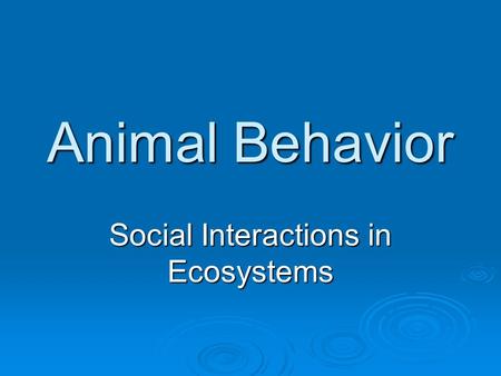 Animal Behavior Social Interactions in Ecosystems.