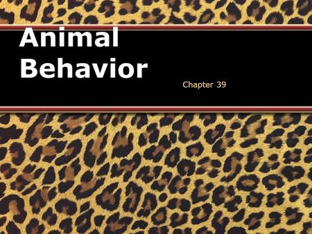 Animal Behavior Chapter 39. Behavior (Ethology) Action carried out by muscles or glands under control of the nervous system in response to a stimulus.