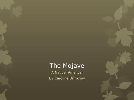 The Mojave A Native American By Caroline Drinkrow.