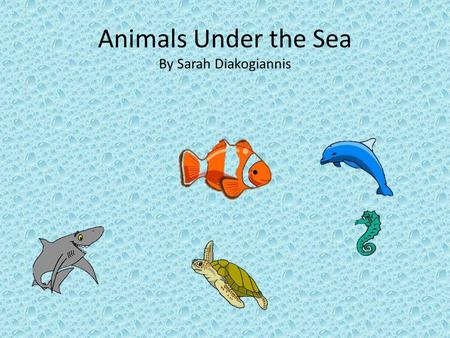 Animals Under the Sea By Sarah Diakogiannis. Matching Activity Directions: name each animal Shark Fish Dolphin Sea Horse Sea Turtle.