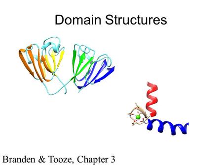 Domain Structures Branden & Tooze, Chapter 3.